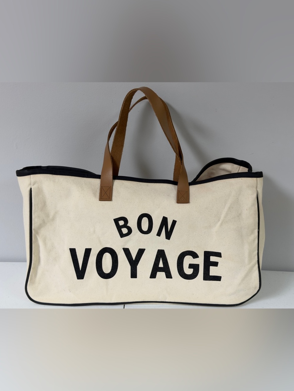Santa Barbara Design Studio Bon Voyage Double Leather Handle Heavy Canvas Tote
